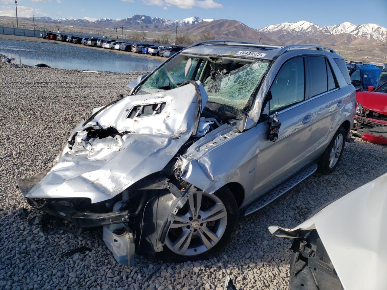 2012 Mercedes-Benz Ml 350 Bluetec - Фото 2