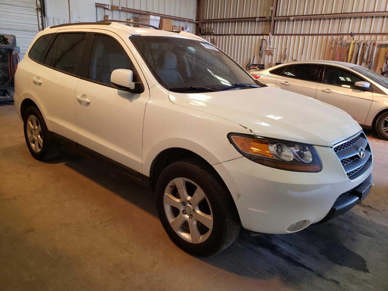 2008 Hyundai Santa Fe Se - Фото 4