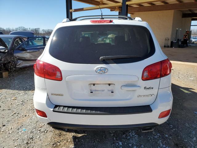 2007 Hyundai Santa Fe Se - Фото 6