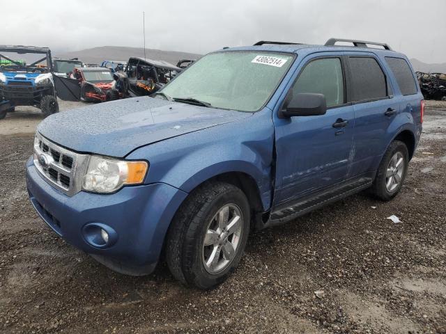 2009 Ford Escape Xlt
