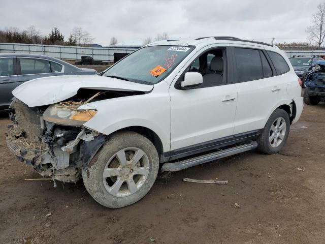2007 Hyundai Santa Fe Se
