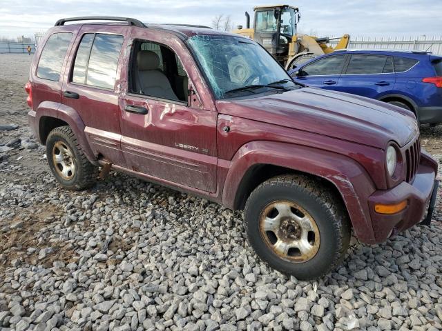2003 Jeep Liberty Limited - Фото 4