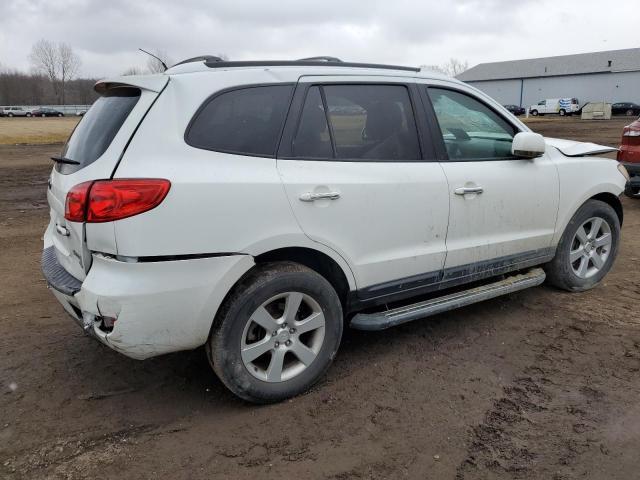 2007 Hyundai Santa Fe Se - Фото 3