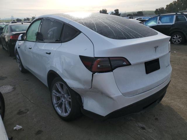 2023 Tesla Model Y - Фото 2