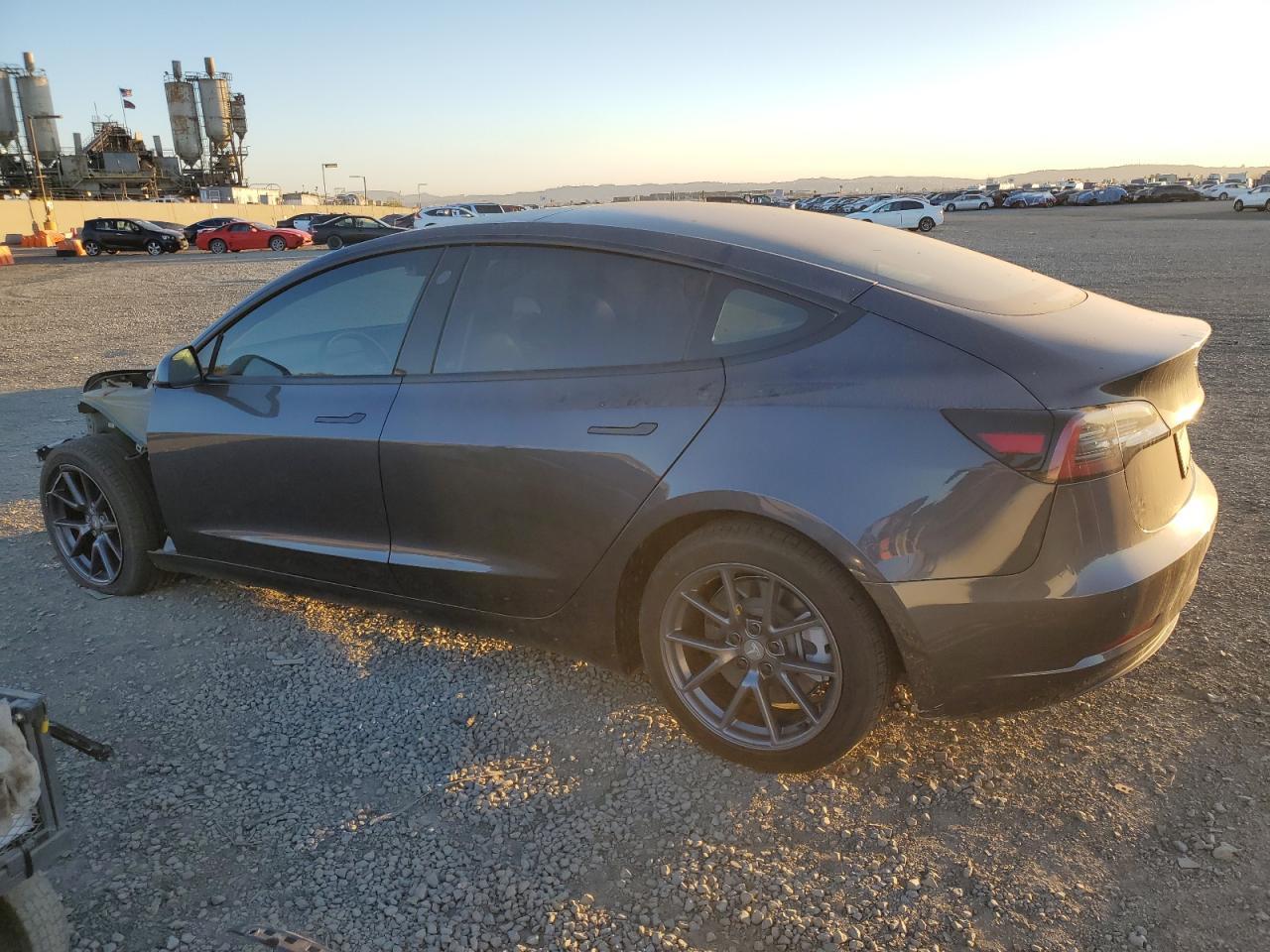 2021 Tesla Model 3 - Фото 2