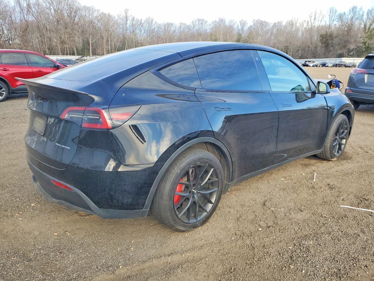 2023 Tesla Model Y - Фото 3