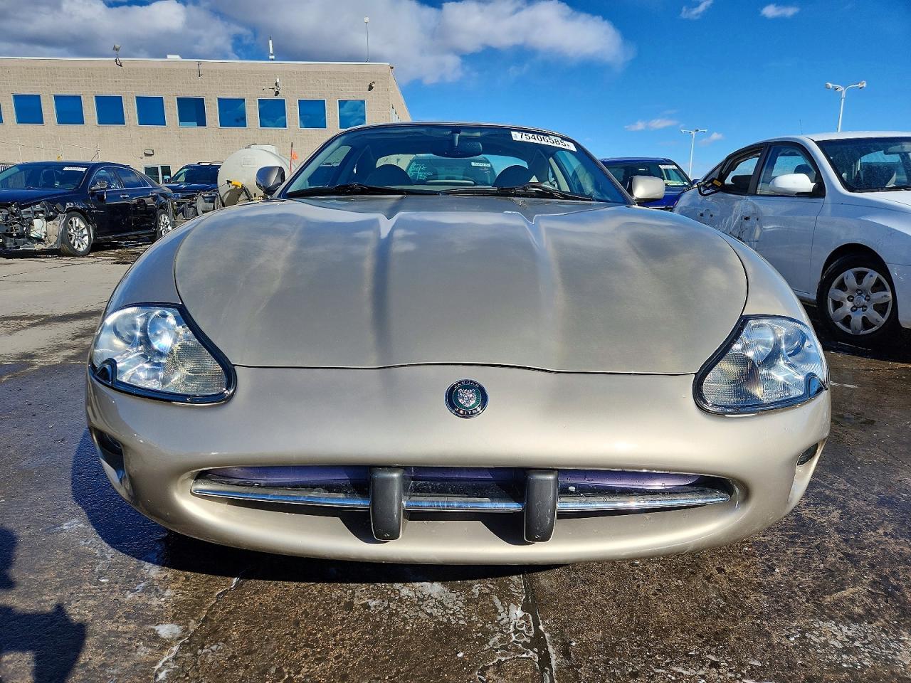 1997 Jaguar Xk8 - Фото 5