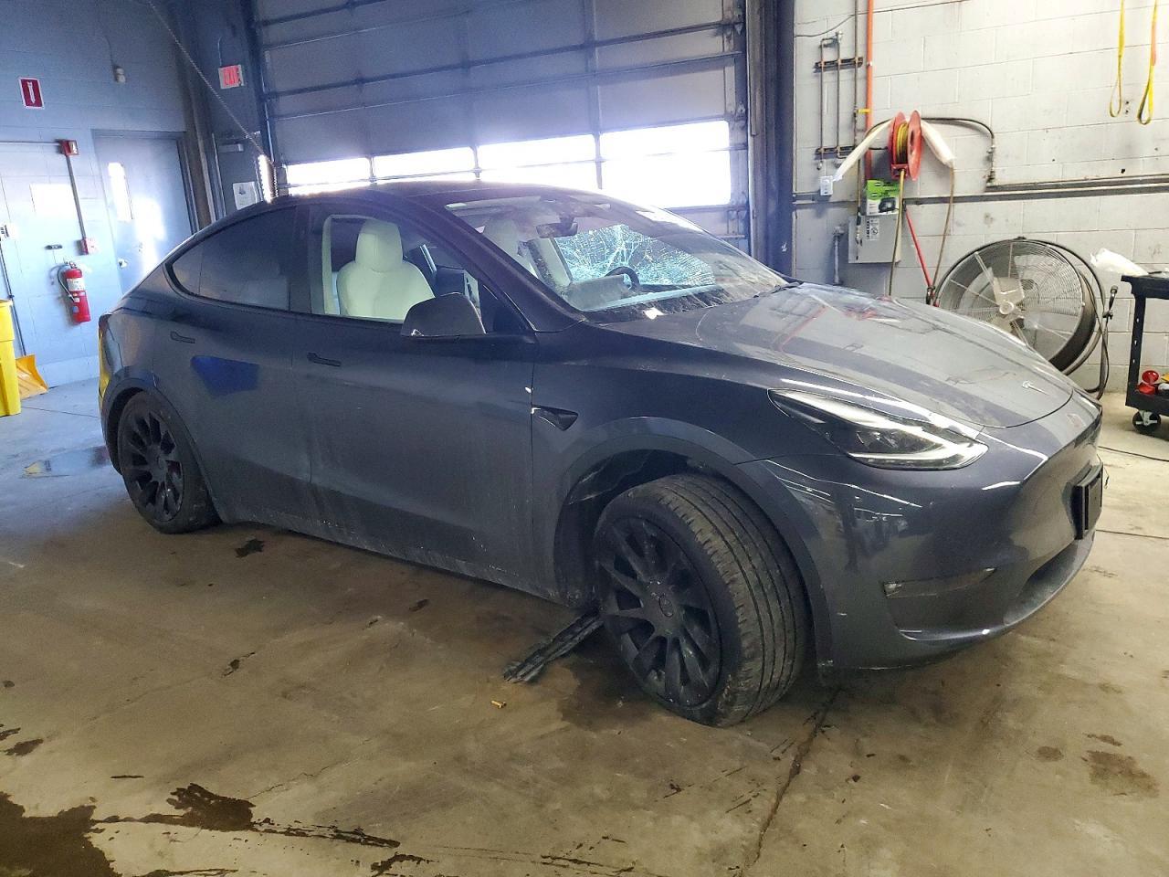 2023 Tesla Model Y - Фото 4