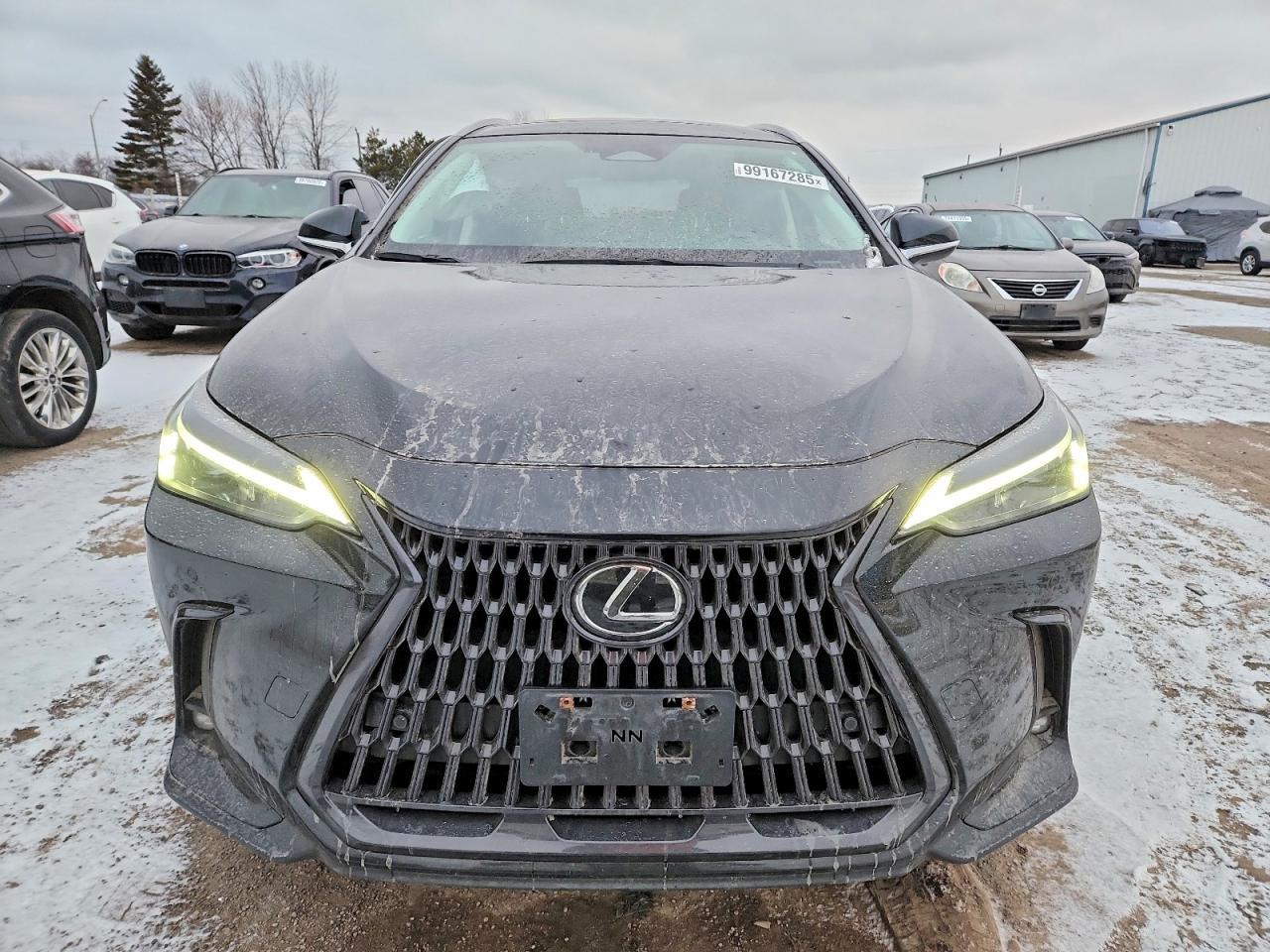 2023 Lexus Nx 350 - Фото 5