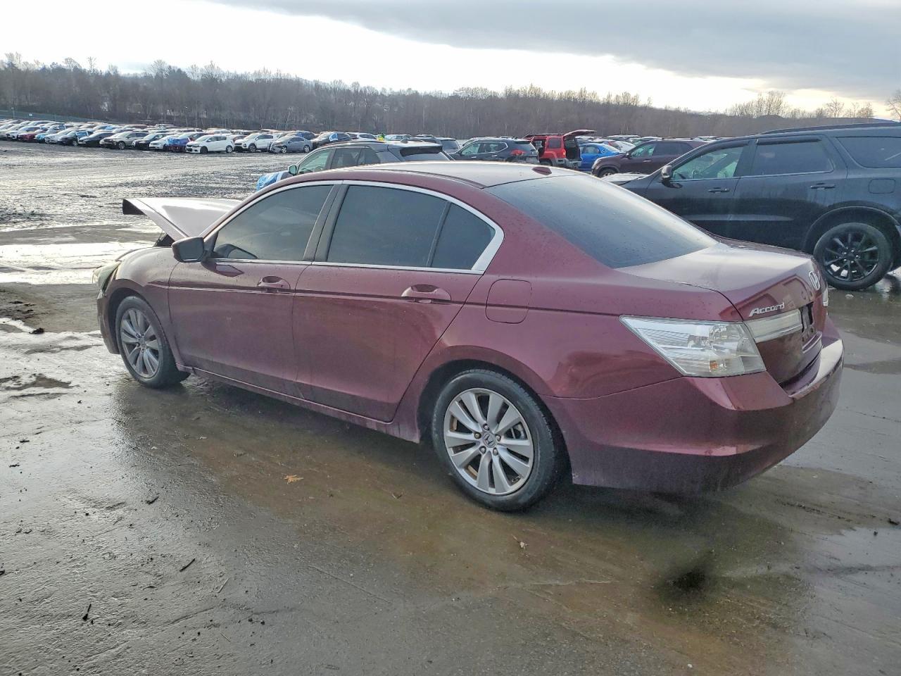 2012 Honda Accord Exl - Image 2