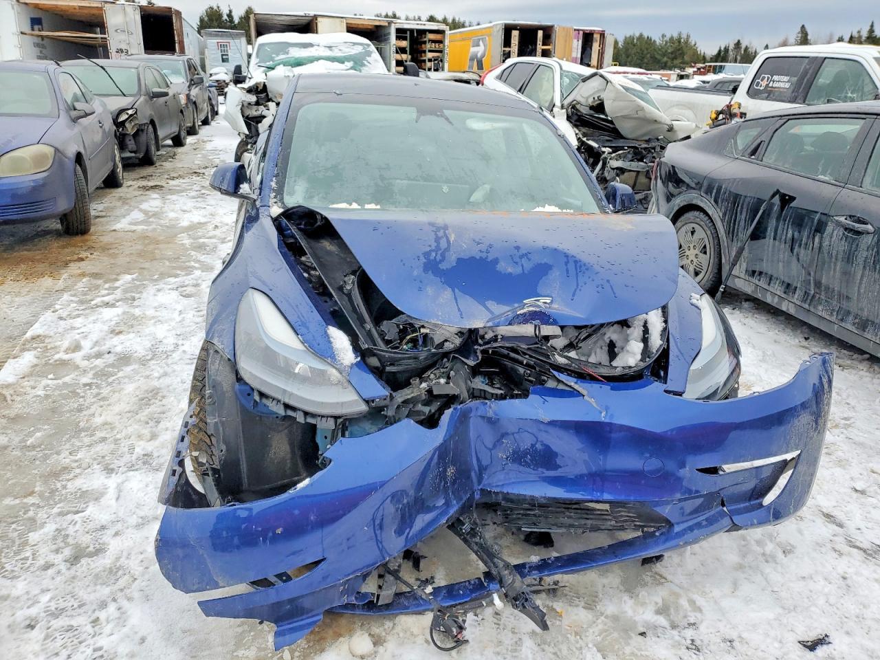 2023 Tesla Model 3 - Фото 5