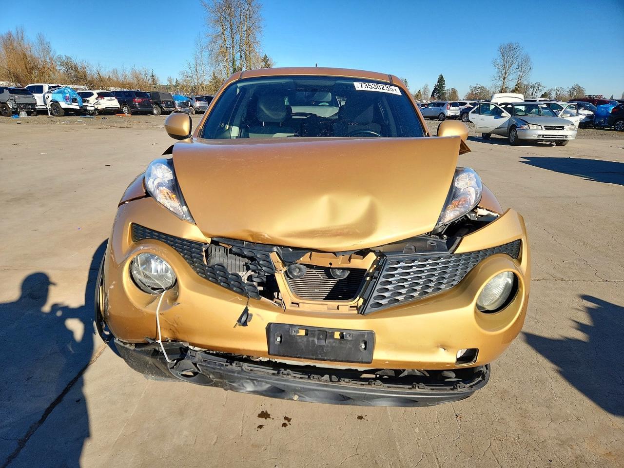 2013 Nissan Juke S - Фото 5