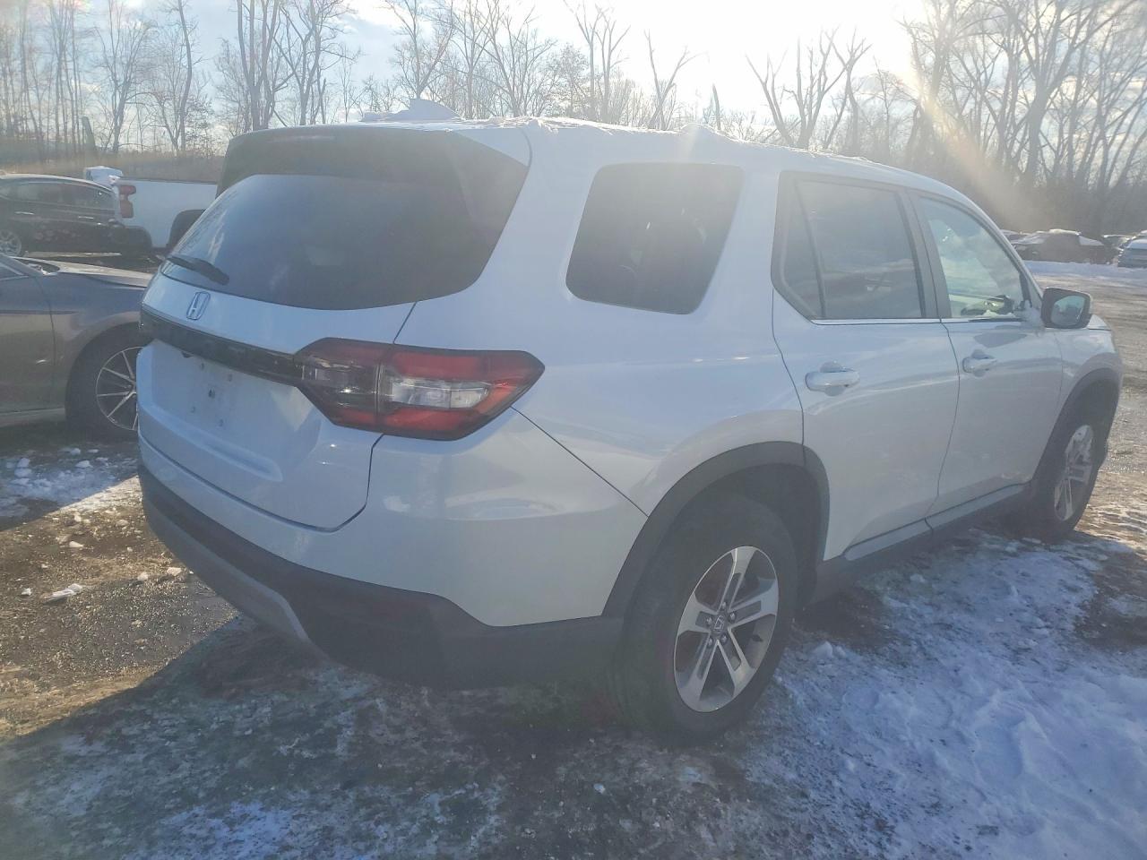 2024 Honda Pilot Exl - Image 3
