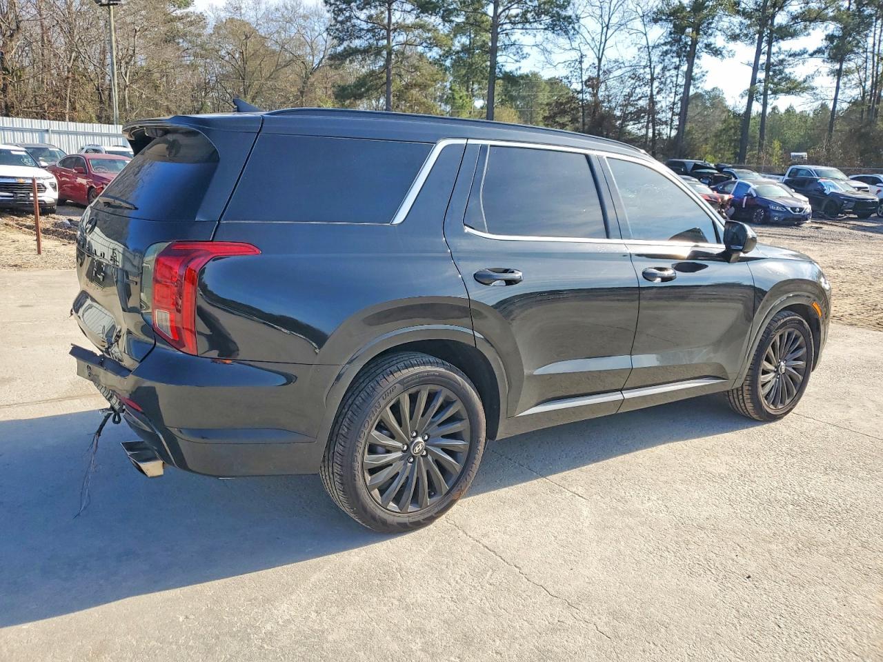 2024 Hyundai Palisade Calligraphy - Image 3