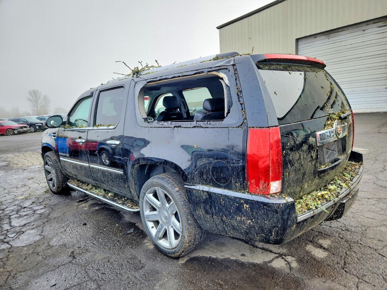2013 Cadillac Escalade Esv Luxury - Image 2