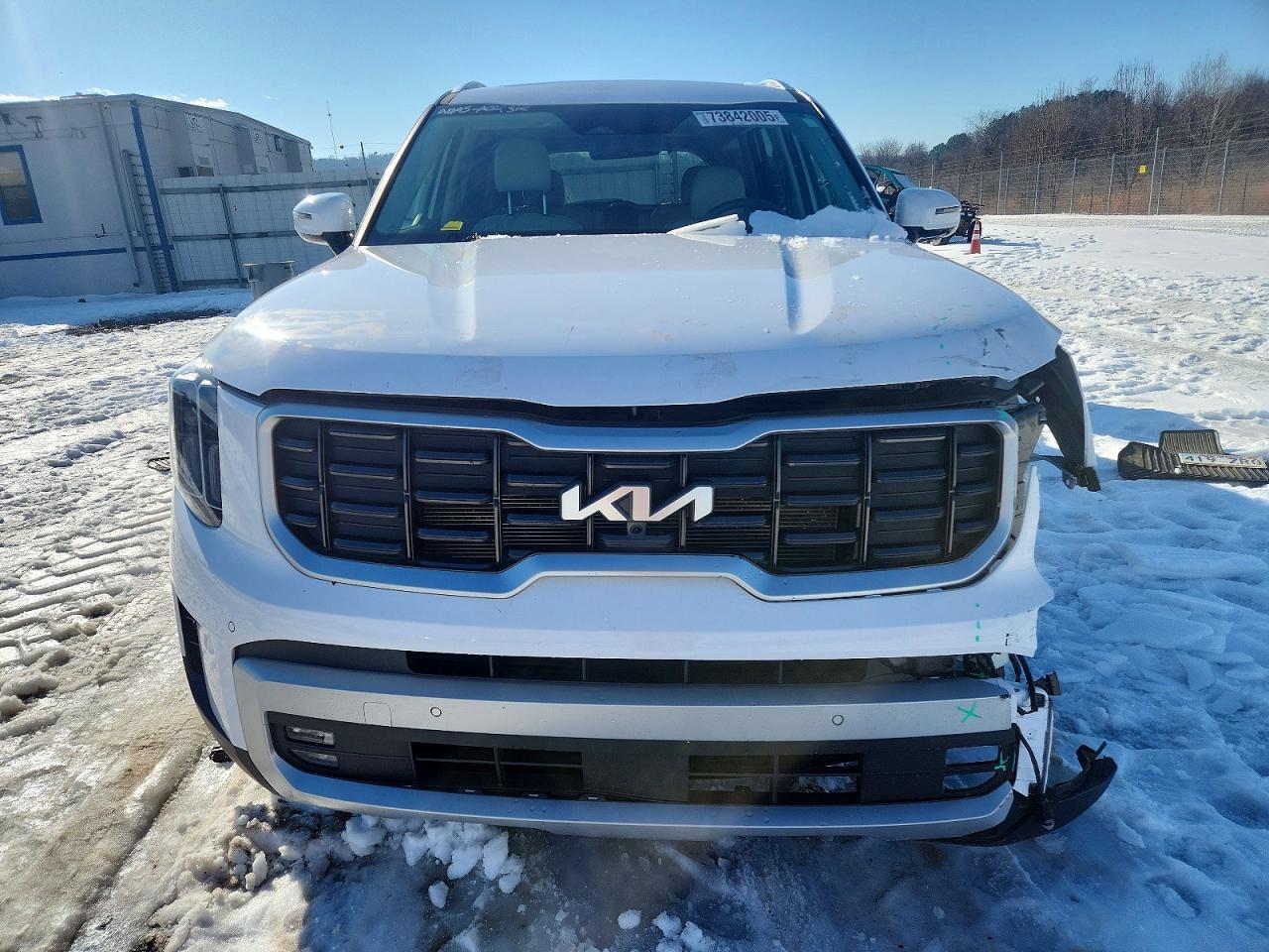 2024 Kia Telluride Sx - Image 5