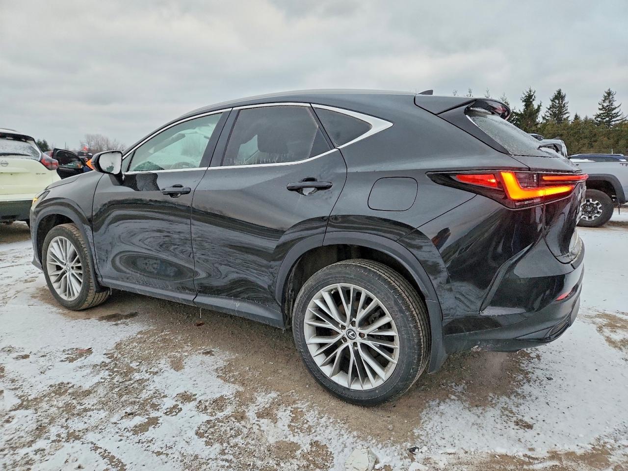 2023 Lexus Nx 350 - Фото 2