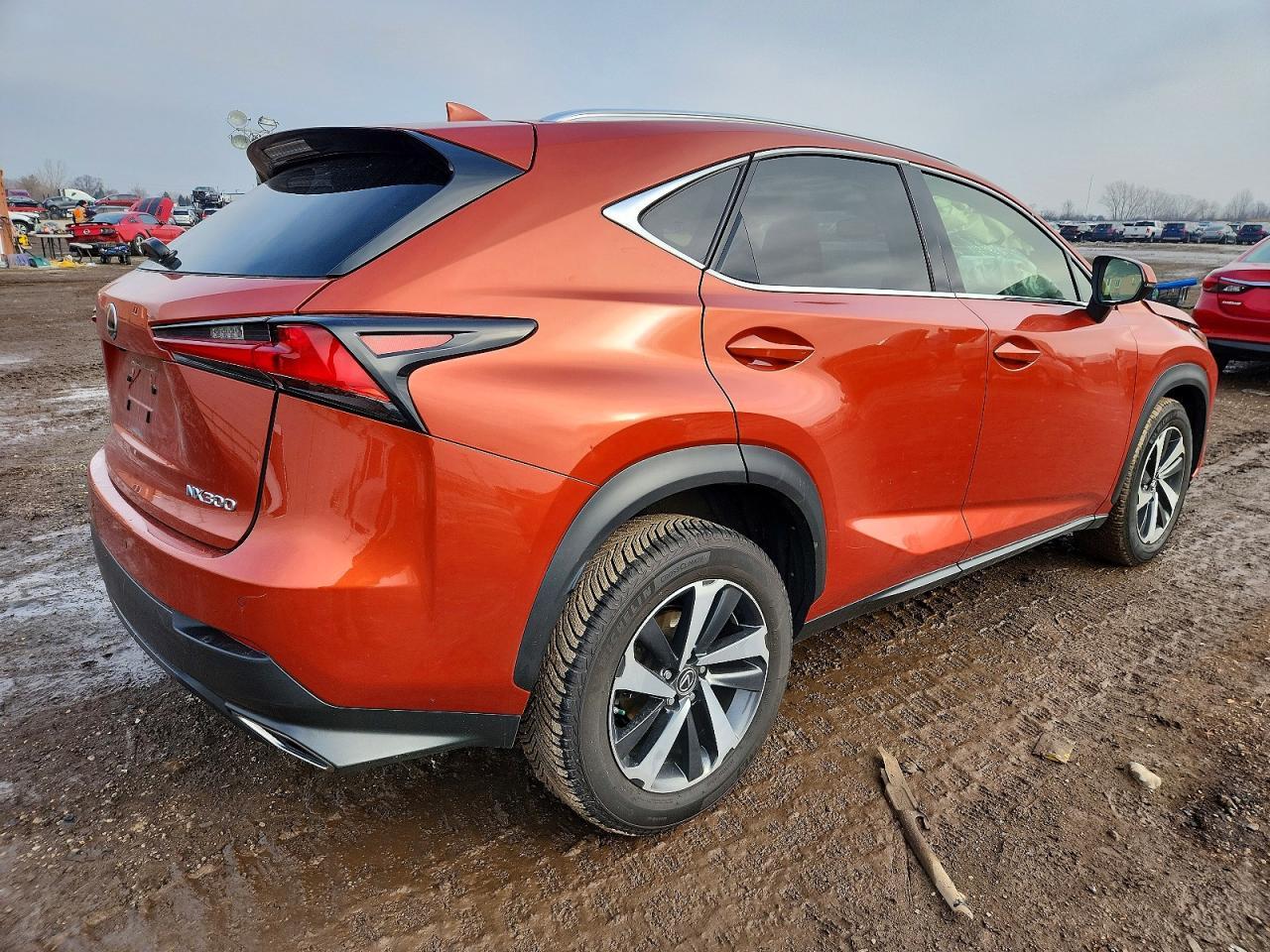 2021 Lexus Nx 300 Base - Фото 3