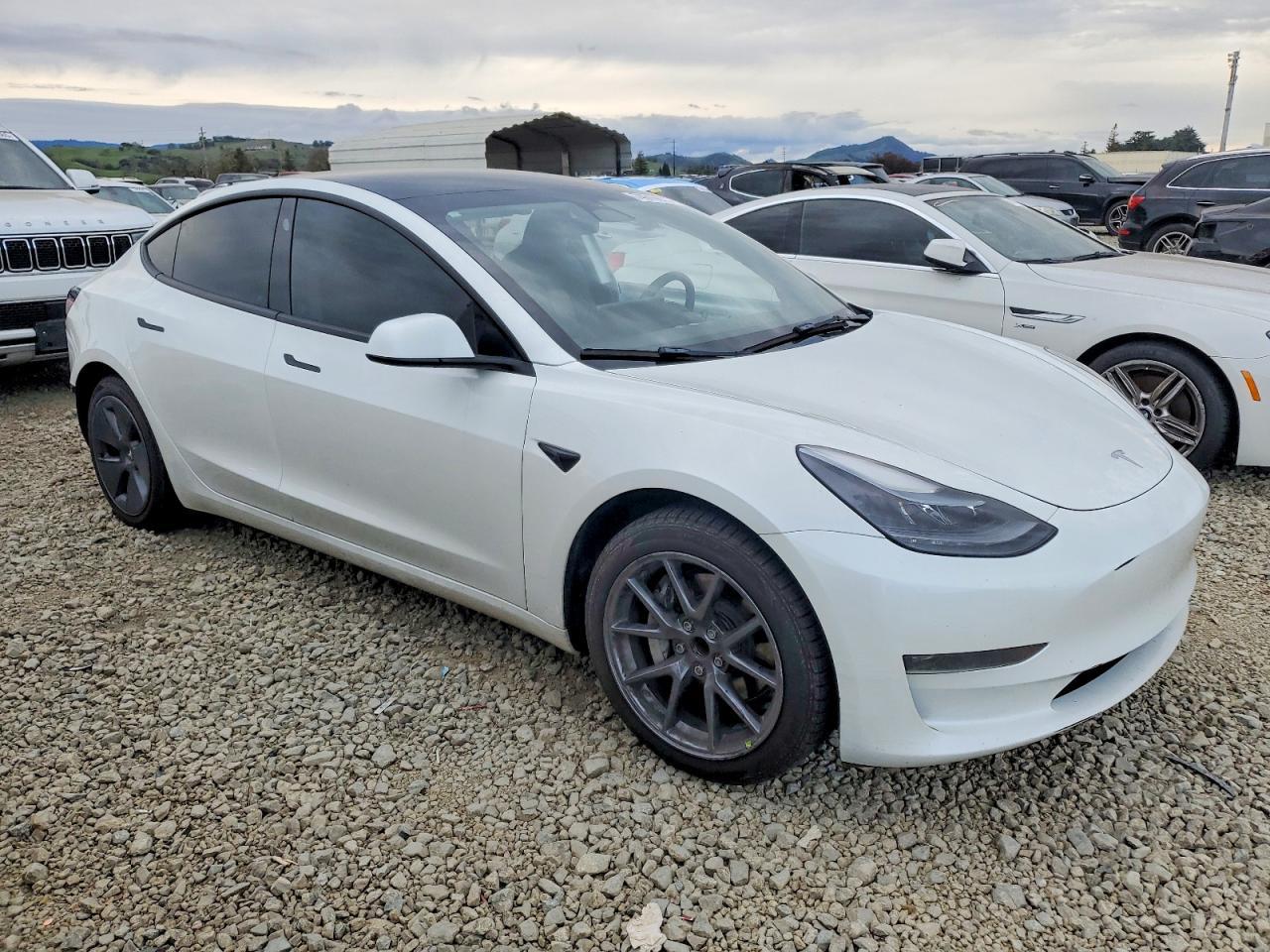 2023 Tesla Model 3 - Фото 4