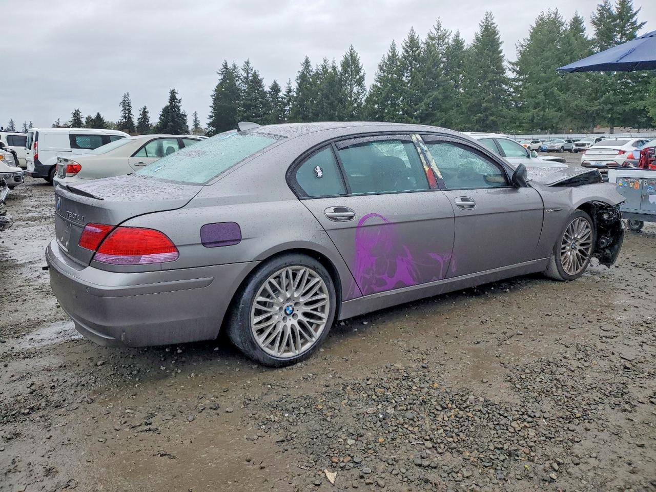 2008 BMW 750 Li - Фото 3