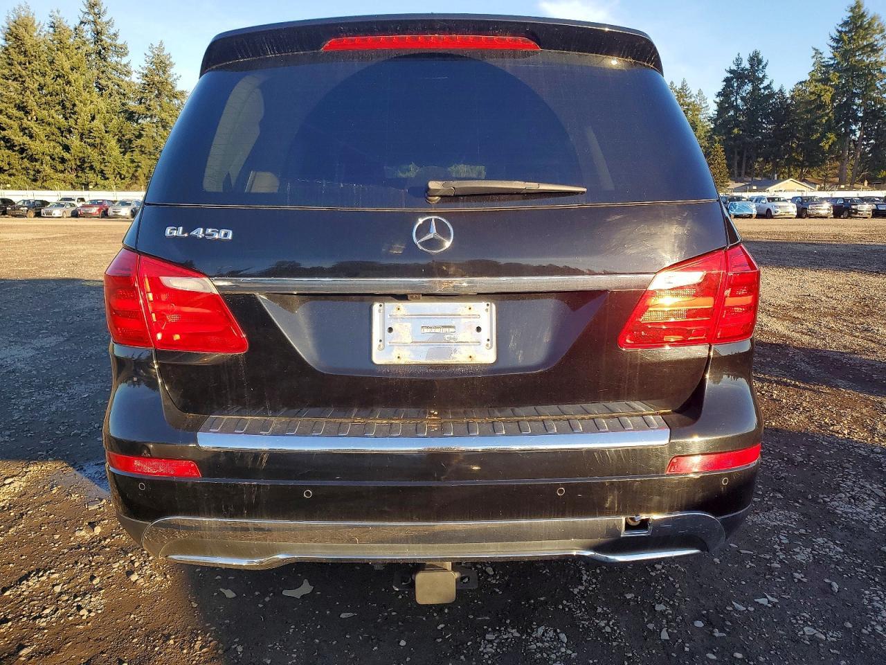 2014 Mercedes-Benz Gl 450 4Matic - Фото 6