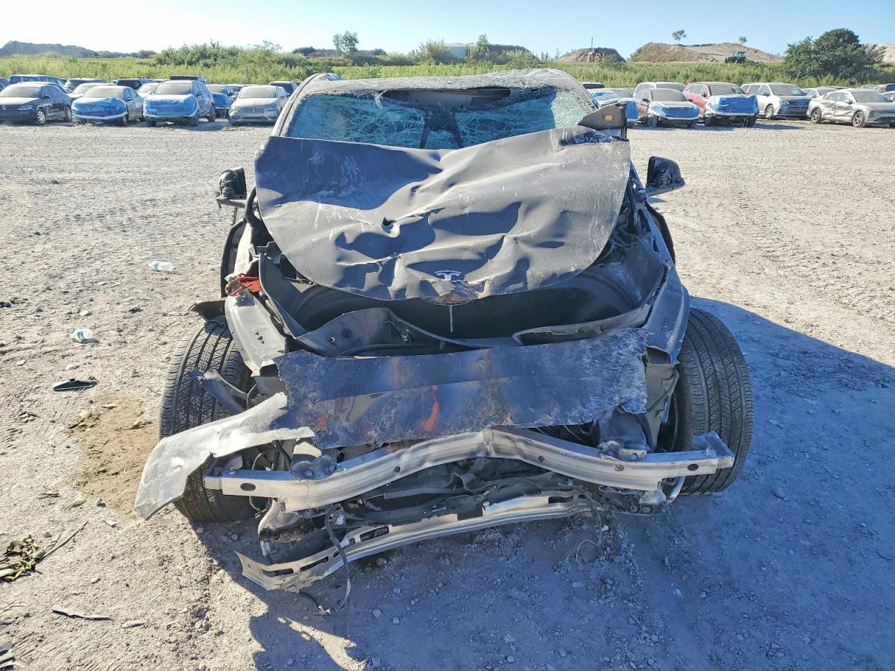 2024 Tesla Model Y - Фото 5
