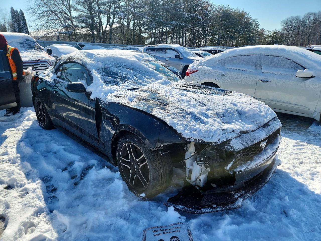 2019 Ford Mustang - Фото 4