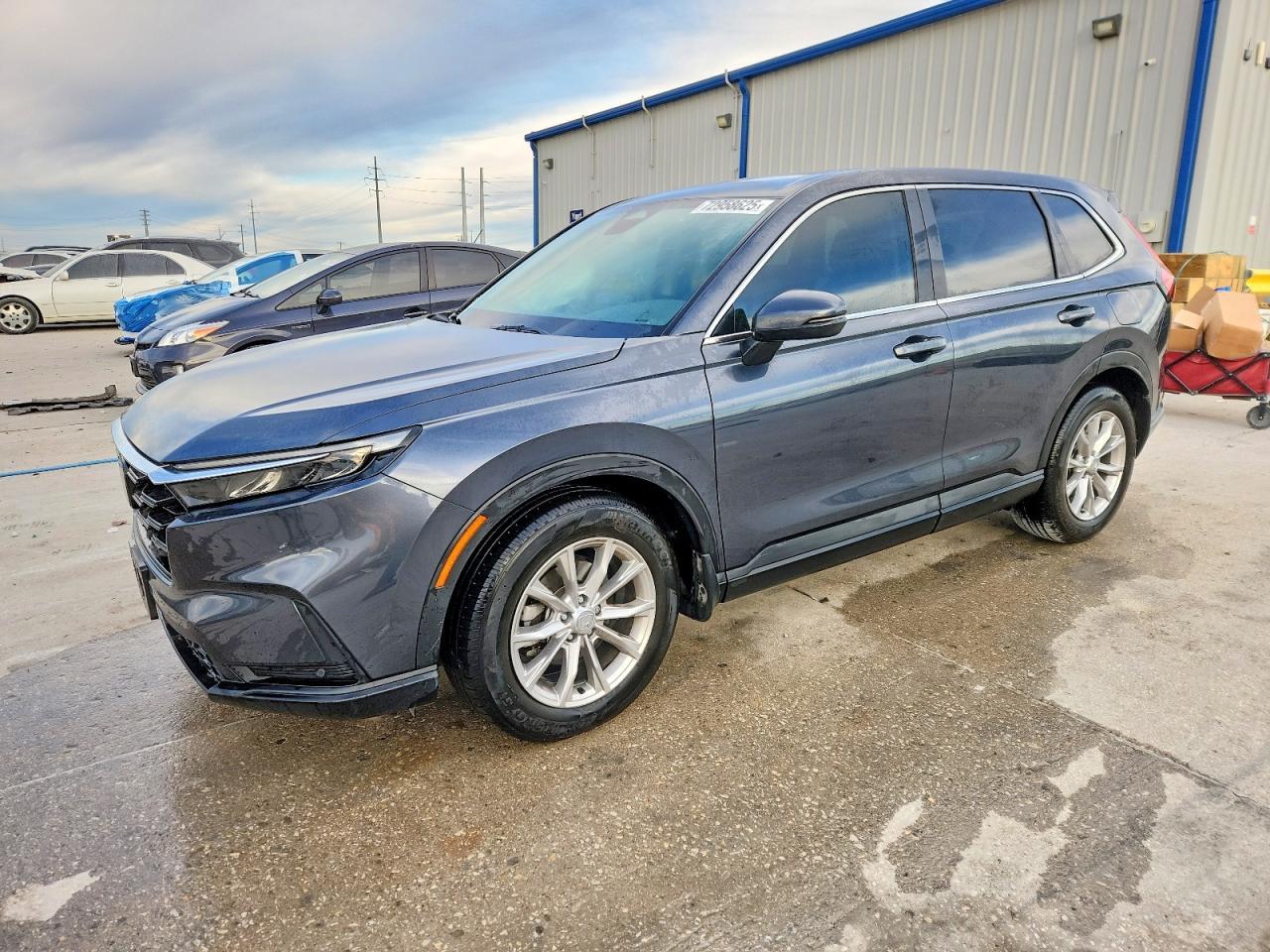 2025 Honda Cr-V Exl
