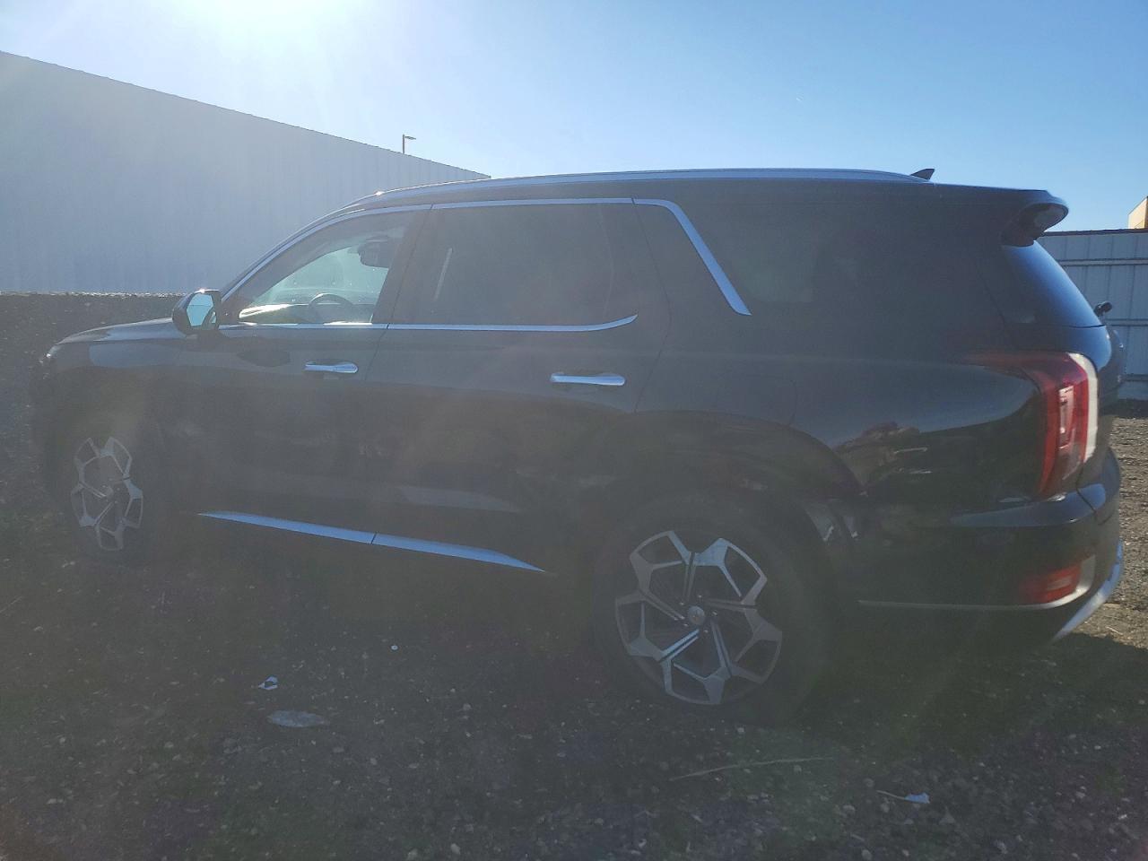 2021 Hyundai Palisade Calligraphy - Фото 2