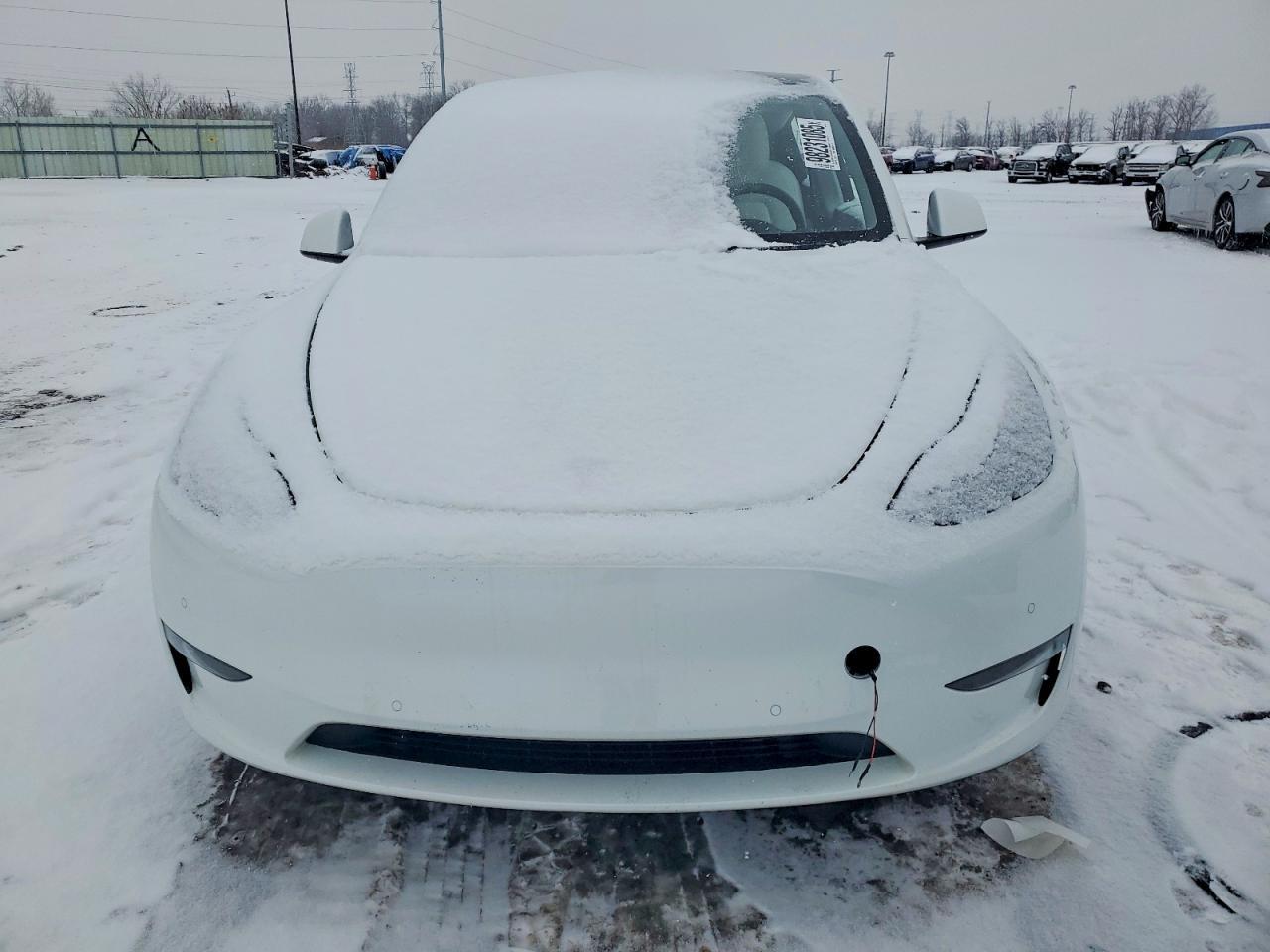 2021 Tesla Model Y - Фото 5