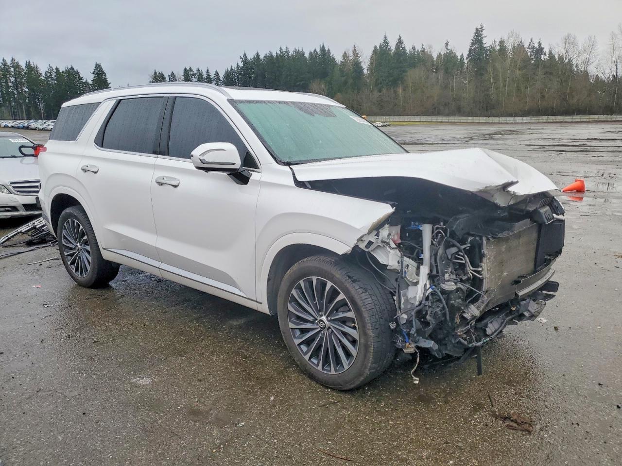 2023 Hyundai Palisade Calligraphy - Фото 4