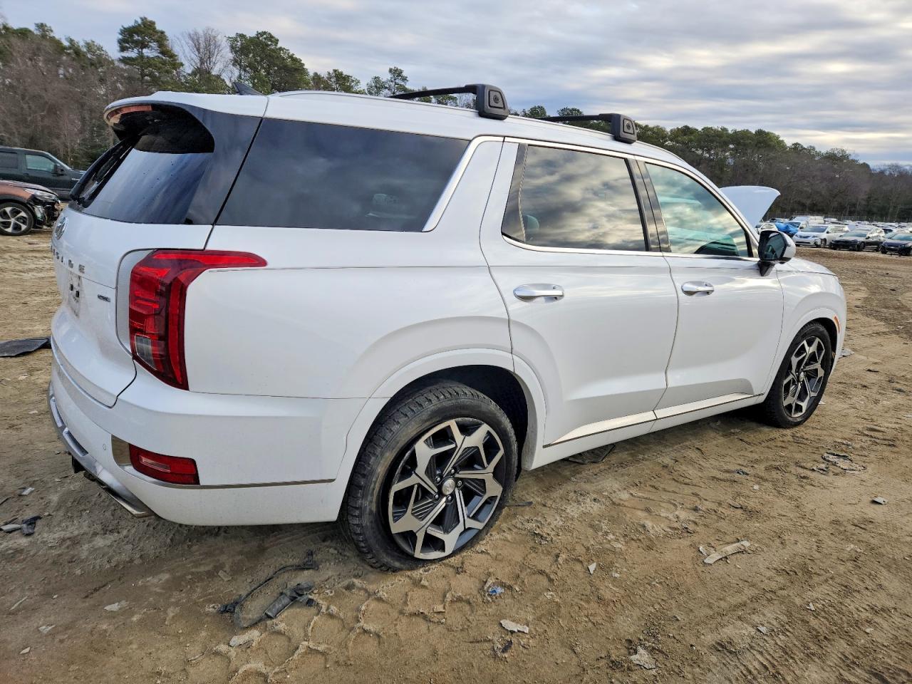 2022 Hyundai Palisade Calligraphy - Фото 3