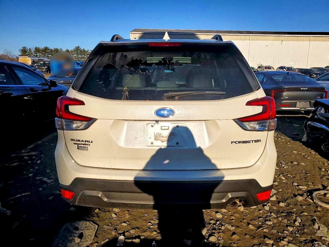 2023 Subaru Forester - Фото 6