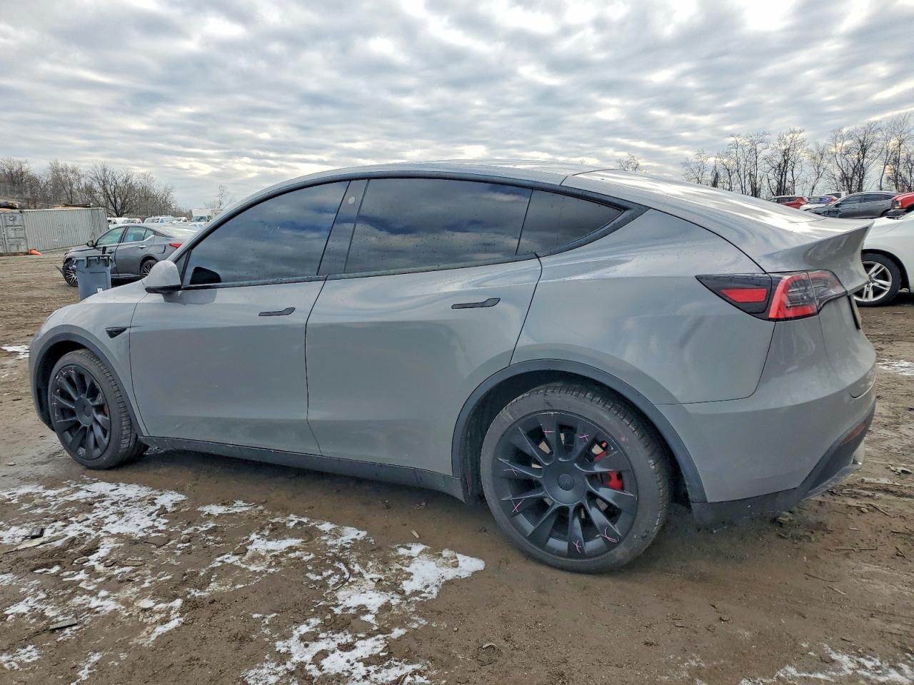 2021 Tesla Model Y - Фото 2