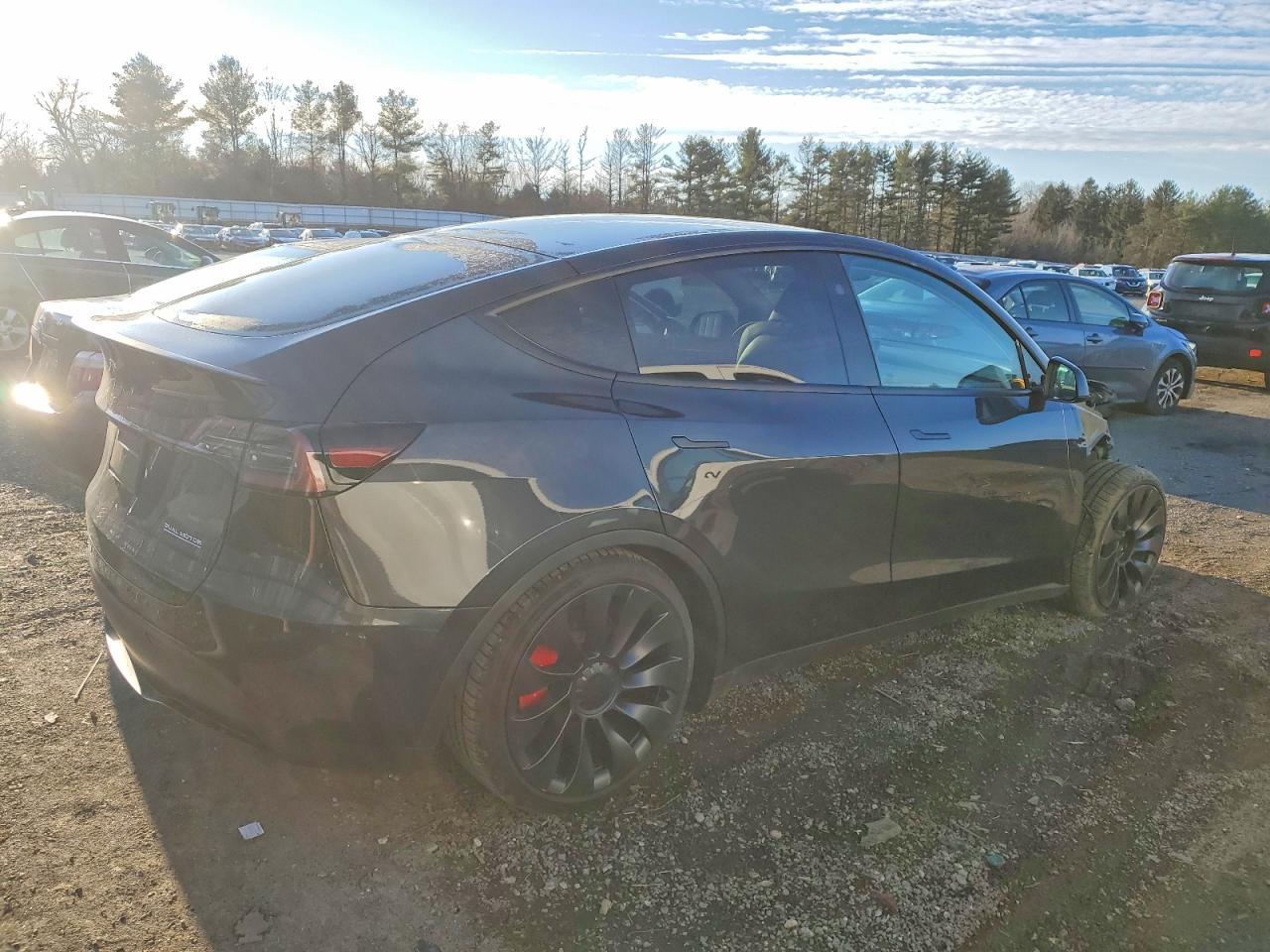 2024 Tesla Model Y - Фото 3