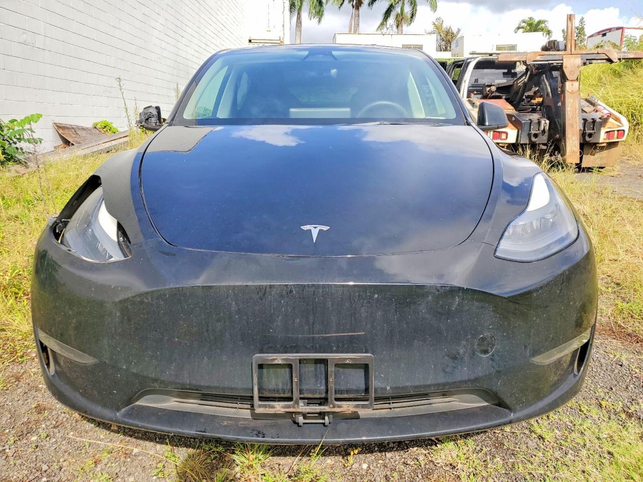 2023 Tesla Model Y - Фото 5