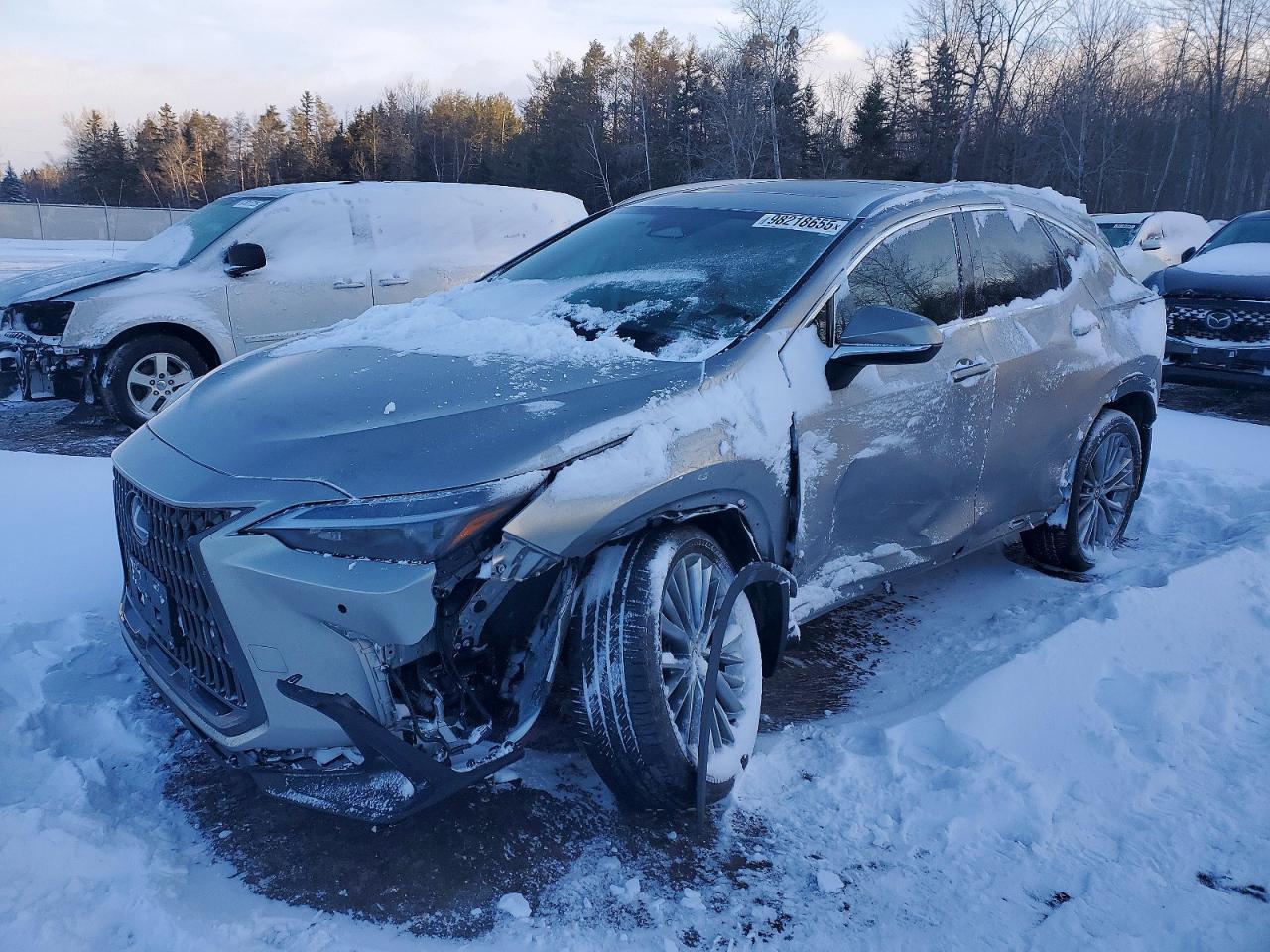 2024 Lexus Nx 350H Base