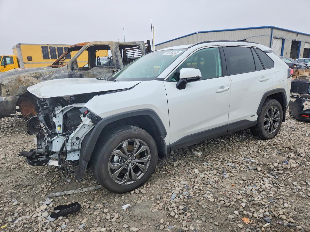 2025 Toyota Rav4 Xle Premium