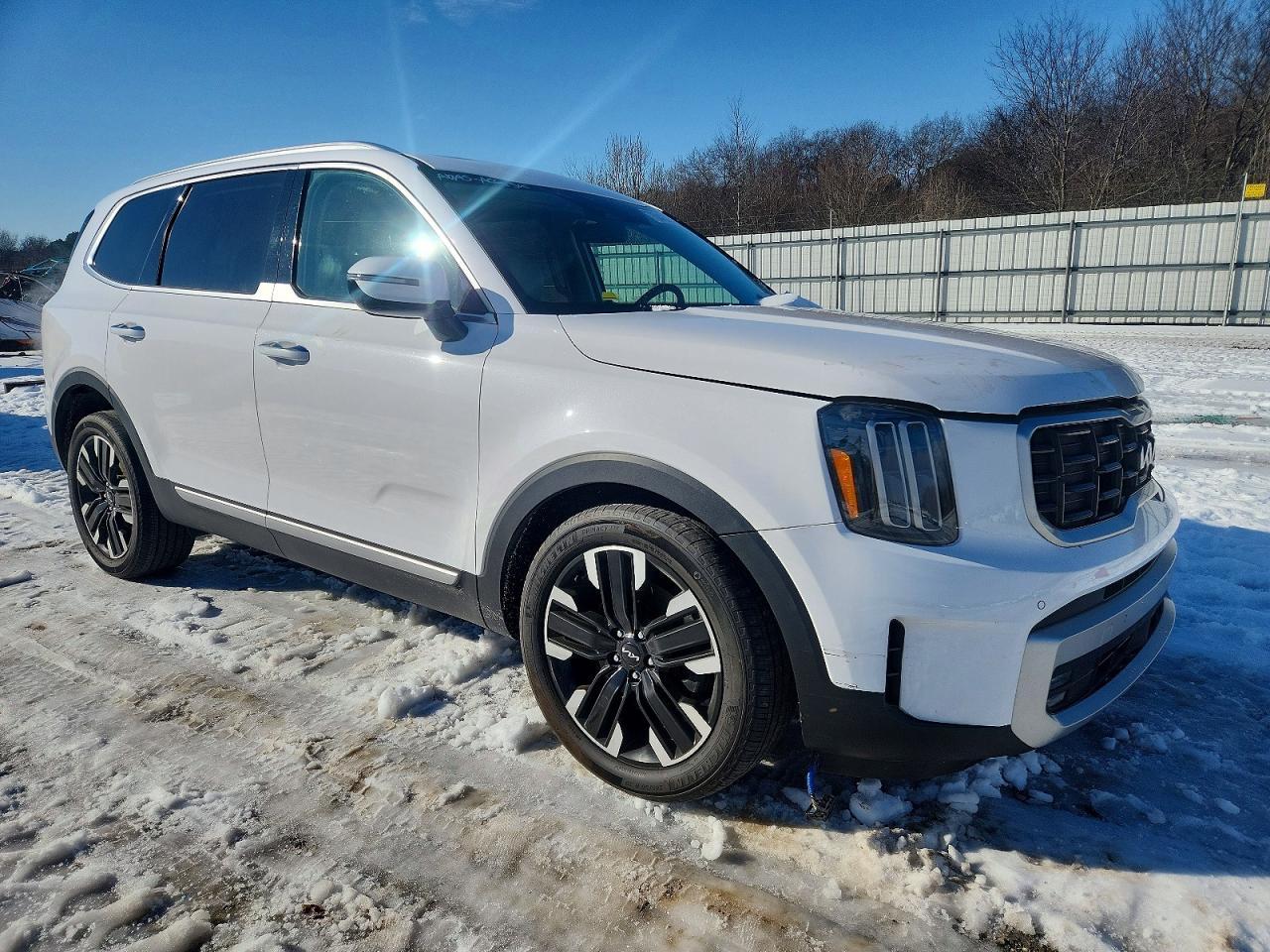 2024 Kia Telluride Sx - Image 4