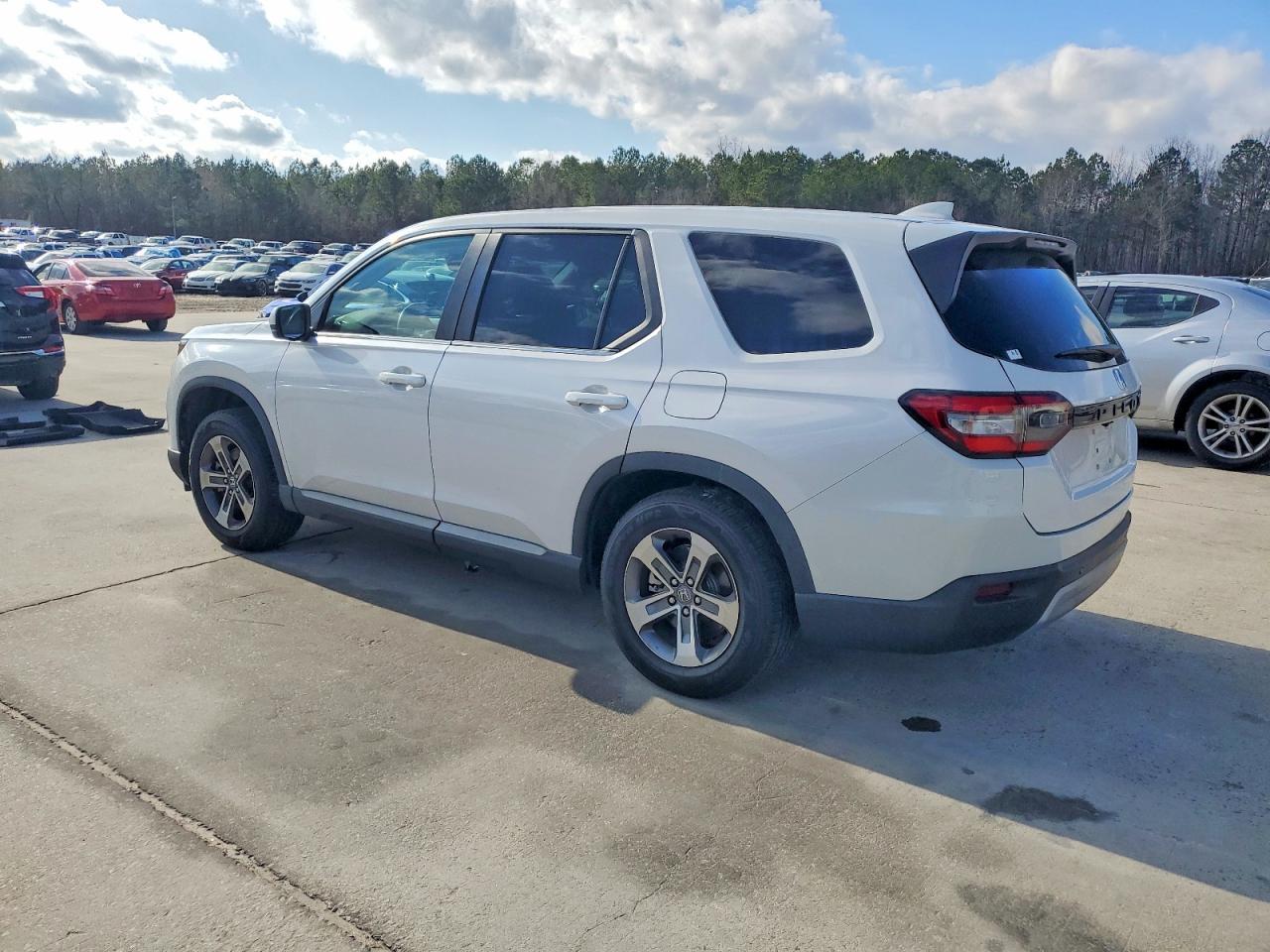 2024 Honda Pilot Exl - Image 2