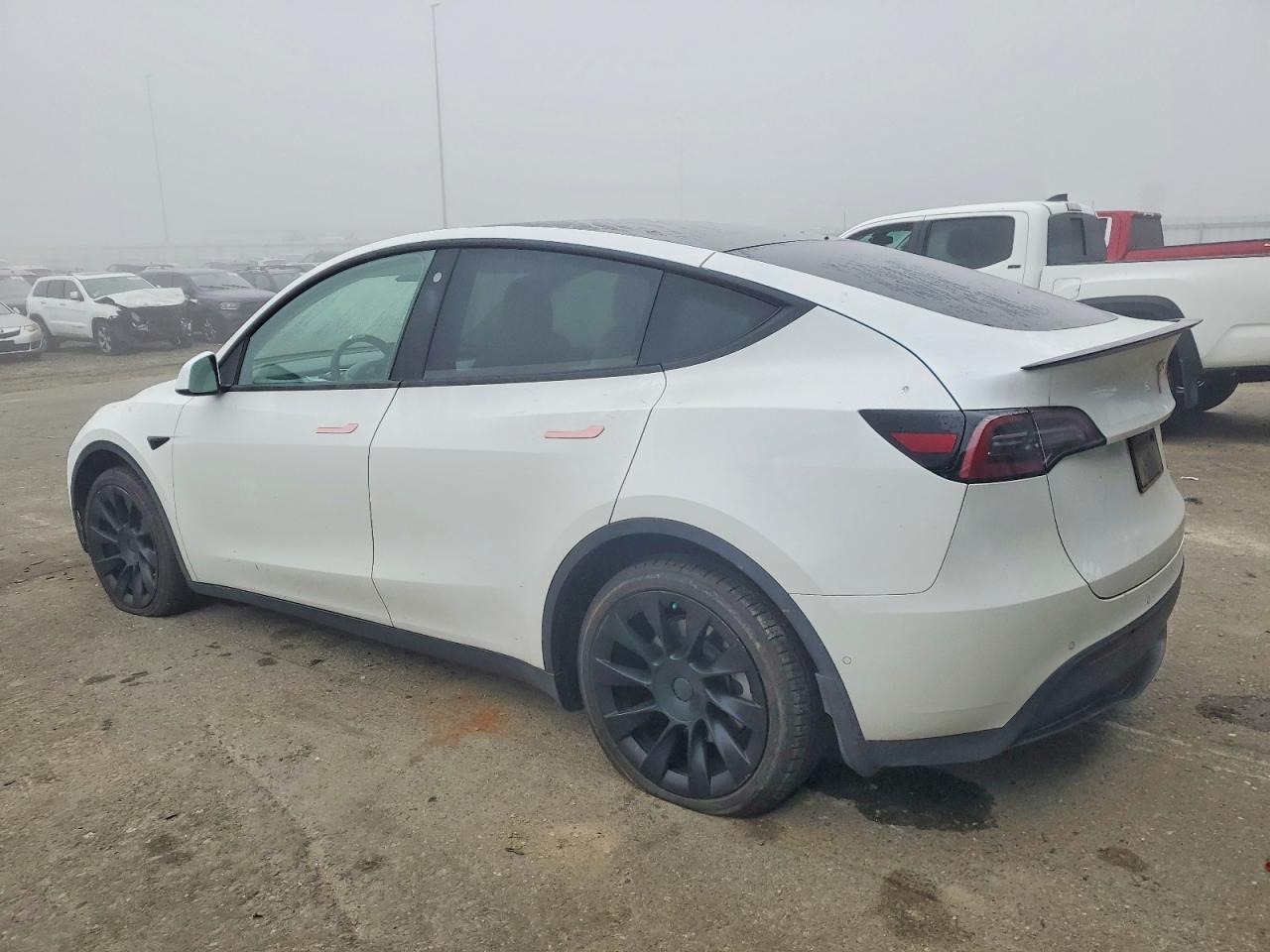 2021 Tesla Model Y - Фото 2