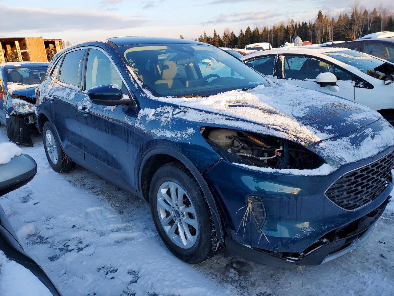 2020 Ford Escape Se - Фото 4