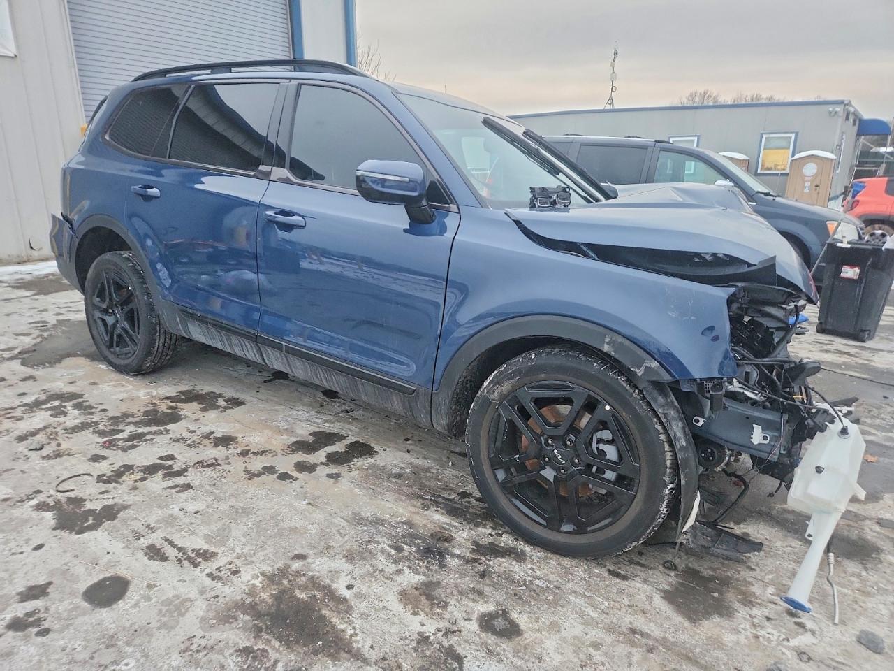 2024 Kia Telluride Sx X-Line - Фото 4