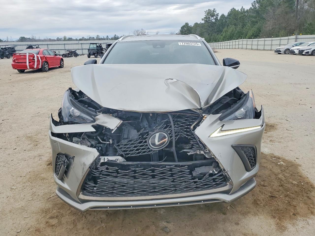 2020 Lexus Nx 300 F Sport - Фото 5