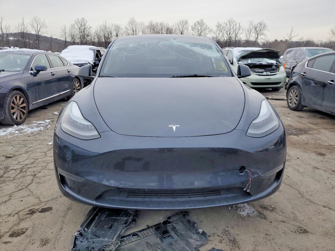 2024 Tesla Model Y - Фото 5