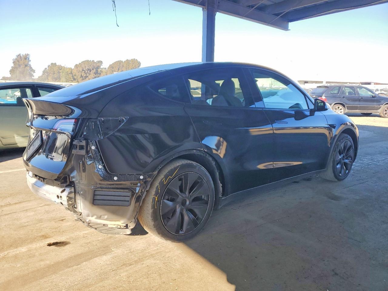 2025 Tesla Model Y - Фото 3