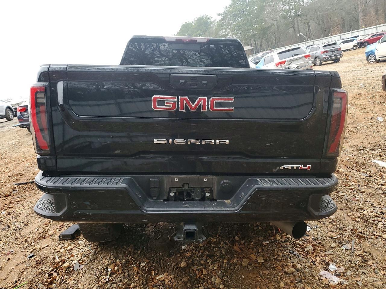 2024 GMC Sierra K2500 At4 - Фото 6