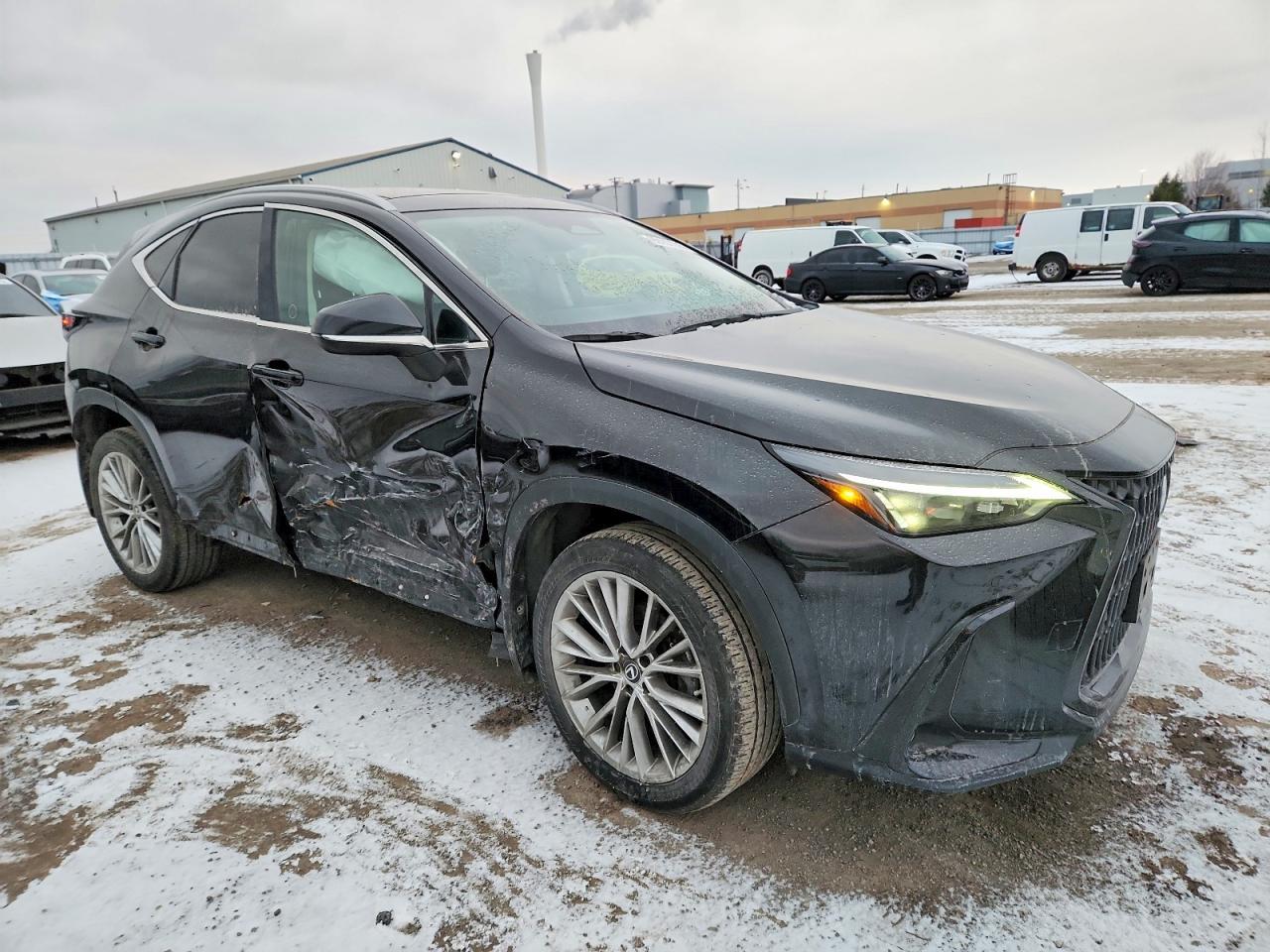 2023 Lexus Nx 350 - Фото 4
