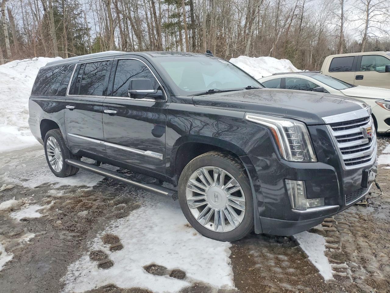 2016 Cadillac Escalade Esv Platinum - Фото 4