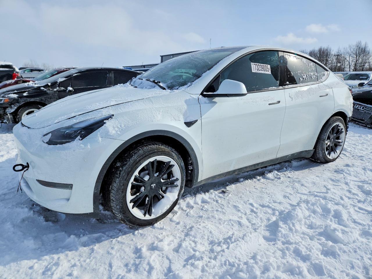 2024 Tesla Model Y